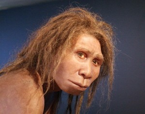 dmanisimens (2) dmanisimens (2)