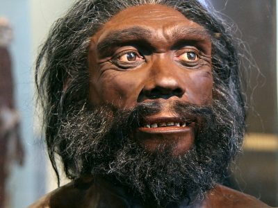 heidelbergmens heidelbergmens