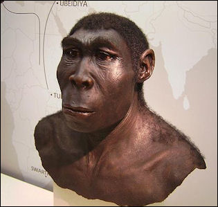 javamens javamens