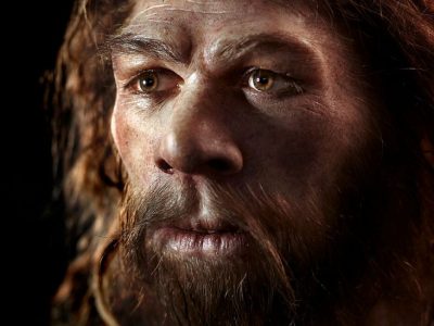 neanderthaler neanderthaler